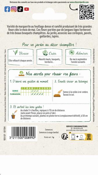 Fleurs - Marguerite Margo - MEDIA_PACKAGING_VERSO